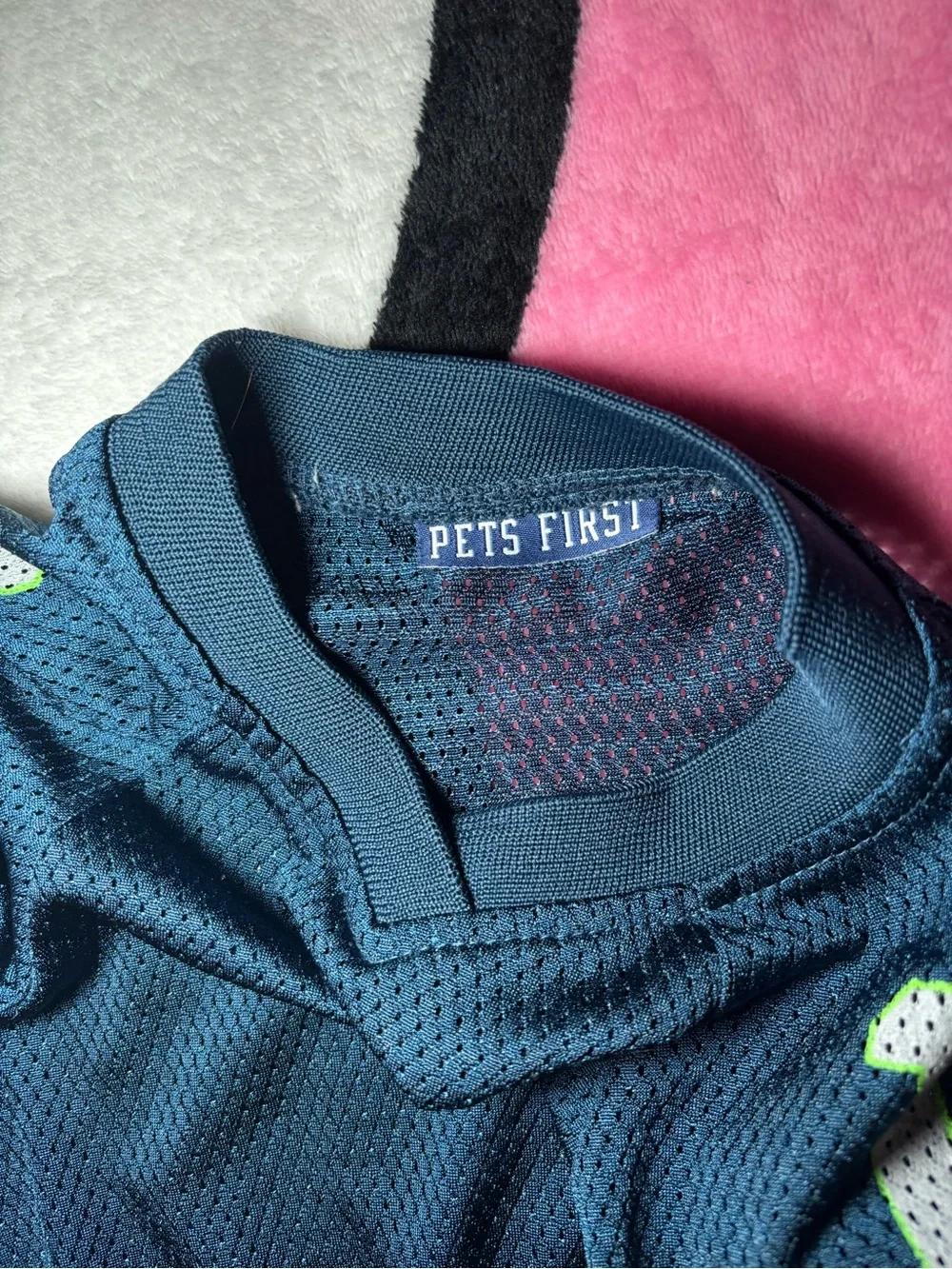 Seattle Seahawks pet jersey